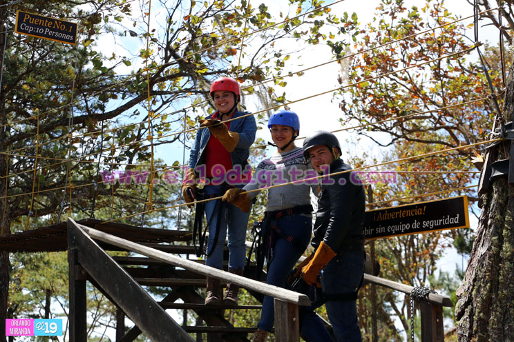 canopy